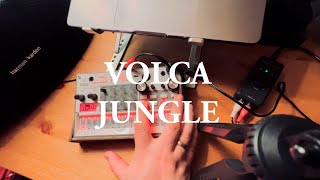 Korg volca sample 2 jungle [upl. by Kanal]