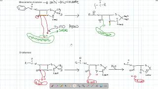 Chimica Farmaceutica  Penicilline Caratteristiche tipologie e meccanismo di azione [upl. by Oznole]