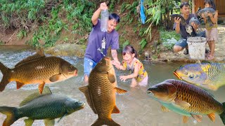 Single Dad Meet a giant school of fish catch and trap fish with his 4 year old daughter cook [upl. by Sulecram959]