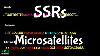 SSR  Simple Sequence Repeat  Microsatellites  Molecular Markers [upl. by Sosthena]