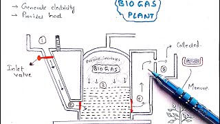 Methane production  Biogas plant  Working  Mechanism  Methanogens  Biogas production [upl. by Larrad534]