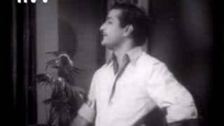 nee sigge singarame oh cheli song in ntr bhagyarekha [upl. by Tallu]