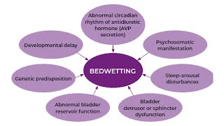 PATHOLOGY OF ENURESIS AND INCONTINENCE IN CHINESE MEDICINE [upl. by Eetsirhc]