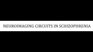 STAHLS  CH 4  PART 24  NEUROIMAGING CIRCUITS IN SCHIZOPHRENIA psychiatrypharmacology [upl. by Maegan]