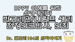 세반고리관유모세포내림프 생리학과 전정안근안구반사vestibuloocular reflex 신경회로 vestibular nystagmus전정안진 [upl. by Anayik]