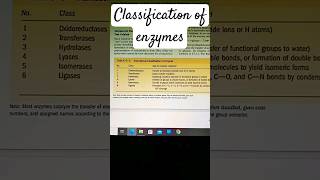 classification of enzymes enzymes biochemistry biology zoology shortsfeed shorts shortvideo [upl. by Nnyleve]