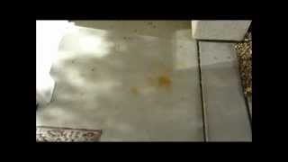 F9 BARC Rust Remover Training How to Remove Rust Stains on Concrete From Metal [upl. by Adlee]