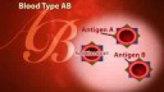 Improve your health by knowing BLOOD TYPE amp making Lifestyle [upl. by Yliab]