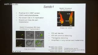 Gearing J2013 Screening for epigenetic regulators of X chromosome inactivation [upl. by Jowett]