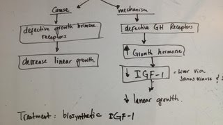 Laron dwarfism  cause and mechanism What is it why and treatment [upl. by Cyril]