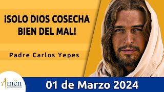 Evangelio De Hoy Viernes 1 Marzo 2024 l Padre Carlos Yepes l Biblia l Mateo 21 3343 4546 [upl. by Kanor77]