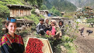 Unseen Pakistani Village Life at Top of Coldest Mountain  Ancient Culture  Stunning Pakistan [upl. by Ardnahs]