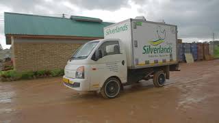 Silverlands Poultry Tanzania [upl. by Dougald]