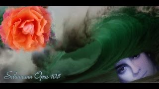 Robert Schumann Sonata Opus 105 Violin amp Piano aMoll full version [upl. by Ahsi]