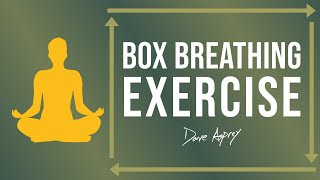 Box Breathing Exercise  How to Hack Your Breath with Dave Asprey [upl. by Akehsat]