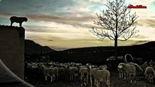 COMO EL VIENTO DE PONIENTE MAREA videoclip [upl. by Bartholomeo]