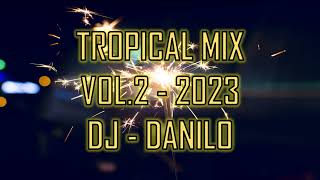 TROPICAL MIX VOL 2 DJ DANILO [upl. by Enilemme873]