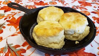 2 Ingredient Biscuits  The Hillbilly Kitchen [upl. by Araf]