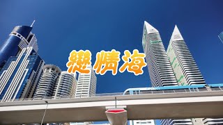 戀情海總鋪師薩克斯風 [upl. by Llerrat435]