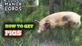 How to Get Pigs in Manor Lords  Passive Yield of Meat Every 150 Days [upl. by Caressa]