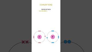 GCSE Chemistry Revision  Types of Bonding [upl. by Lerraj61]