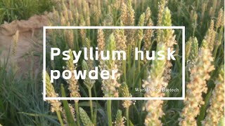 Psyllium husk powder [upl. by Llewol]