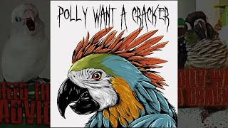 Polly Want A Cracker Official Music Video  Dusty Douglas [upl. by Peti166]