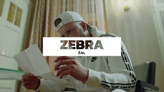 Zebra  Żal Non Official Video vin vinci [upl. by Gael577]