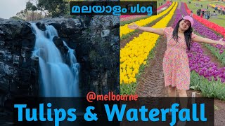 ഞങ്ങൾ Tulips കാണാൻ പോയപ്പോൾ  ഒരു അടിപൊളി dayoutsoorajsharonvlogsaustralia couple dayout [upl. by Nomelihp]