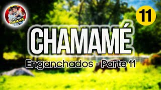 ✅ENGANCHADOS de CHAMAMÉ 2024 🎼 quotParte 11quot 🎼EXCLUSIVO CHAMAME 2024✅ [upl. by Schultz]