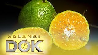 Salamat Dok The health benefits of dalandan calamansi and pomelo [upl. by Omle]