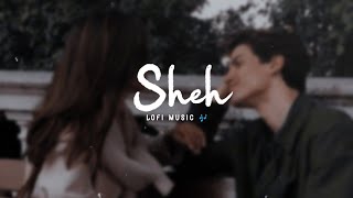 Sheh  ✨☺️ SLOWEDREVERB   LOFI MUSIC 🎶 [upl. by Atekram]