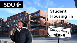 Student Housing in Sønderborg [upl. by Draw]