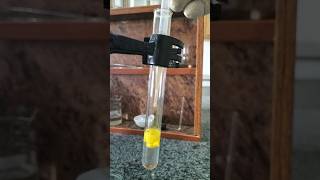 lead acetate and potassium iodide experiment chemicalanalysis science acidicradicals chemistry [upl. by Ddene]