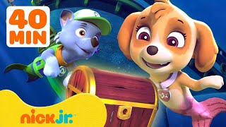 PAW Patrol Daring Mermaid Jungle Pup Adventures amp More🧜‍♀️ w Skye amp Rocky  40 Minutes  Nick Jr [upl. by Nnoj]