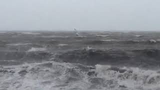 Hurricane Surfer in Tralee Bay [upl. by Ennaihs523]