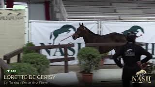 N°120  Lorette de Cerisy  TRAINING VENTES ELITES NASH 2024 [upl. by Geehan]