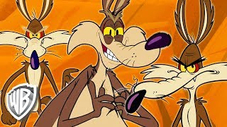 Looney Tunes en Français  Wile E Coyote le Génie  30 Minutes  WB Kids [upl. by Airod]