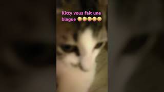 Poisson de chat 🐱 song humour funny ￼ [upl. by Ephram]