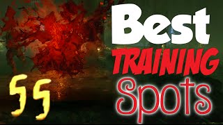 BO3 Zombies Best Training Spots On Zetsubou No Shima  High Round Strategies [upl. by Omolhs906]