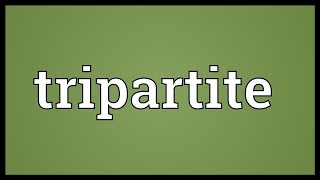 Tripartite Meaning [upl. by Barron]