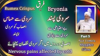 Rumex crispus vs bryonia  nervous pains affected by cold Nux vomica Mag phos Silicea [upl. by Leibman196]