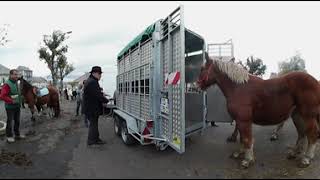 Foire aux Chevaux 2017 [upl. by Gresham678]