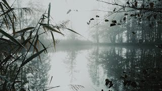 The Lady of Shalott by Alfred Lord Tennyson  British accent read by Ben W Smith [upl. by Orimlede]