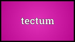 Tectum Meaning [upl. by Ehudd]