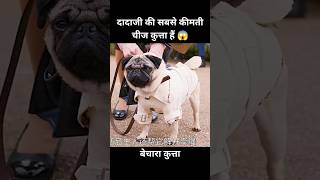 यह कुत्ता दादी की सबसे कीमती चीज हैं 😱  short anime cartoon dog [upl. by Nels732]