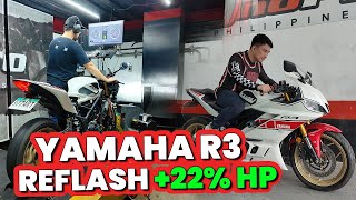 Yamaha R3 Dyno Tune Gets More Power  R3 Build Ep 2 [upl. by Reinal]