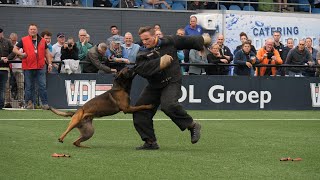 Nederlandse Kampioenschappen KNPV 2021 Schotstellen 04  09 [upl. by Albina781]