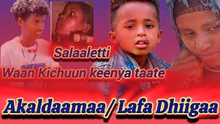 Gara Jabummaa Daanga darbetu Salaale irratti tae Waaqayyo Nuttin Callisinkaa🤲🤲 DhugaaBaatota1 [upl. by Drobman]