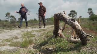 De afwisselende natuur van het Weerterbos  Natuur en Zo [upl. by Aitas]